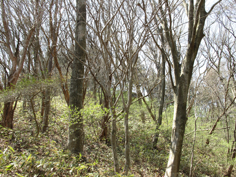 20140419hike (177)